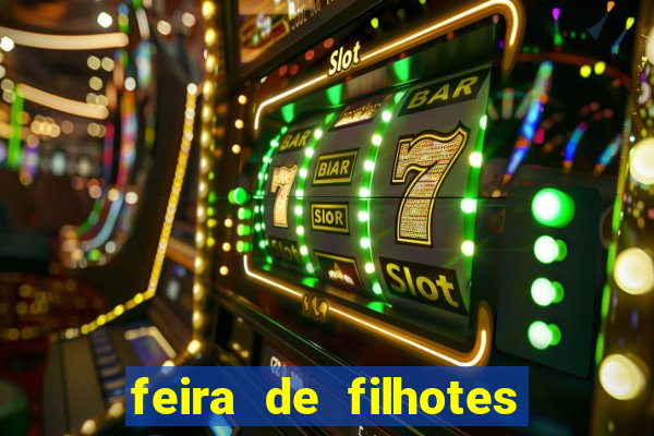 feira de filhotes porto alegre